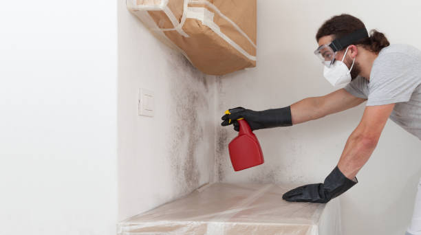 Professional Bathroom Mold Removal technician working in Waconia, MN